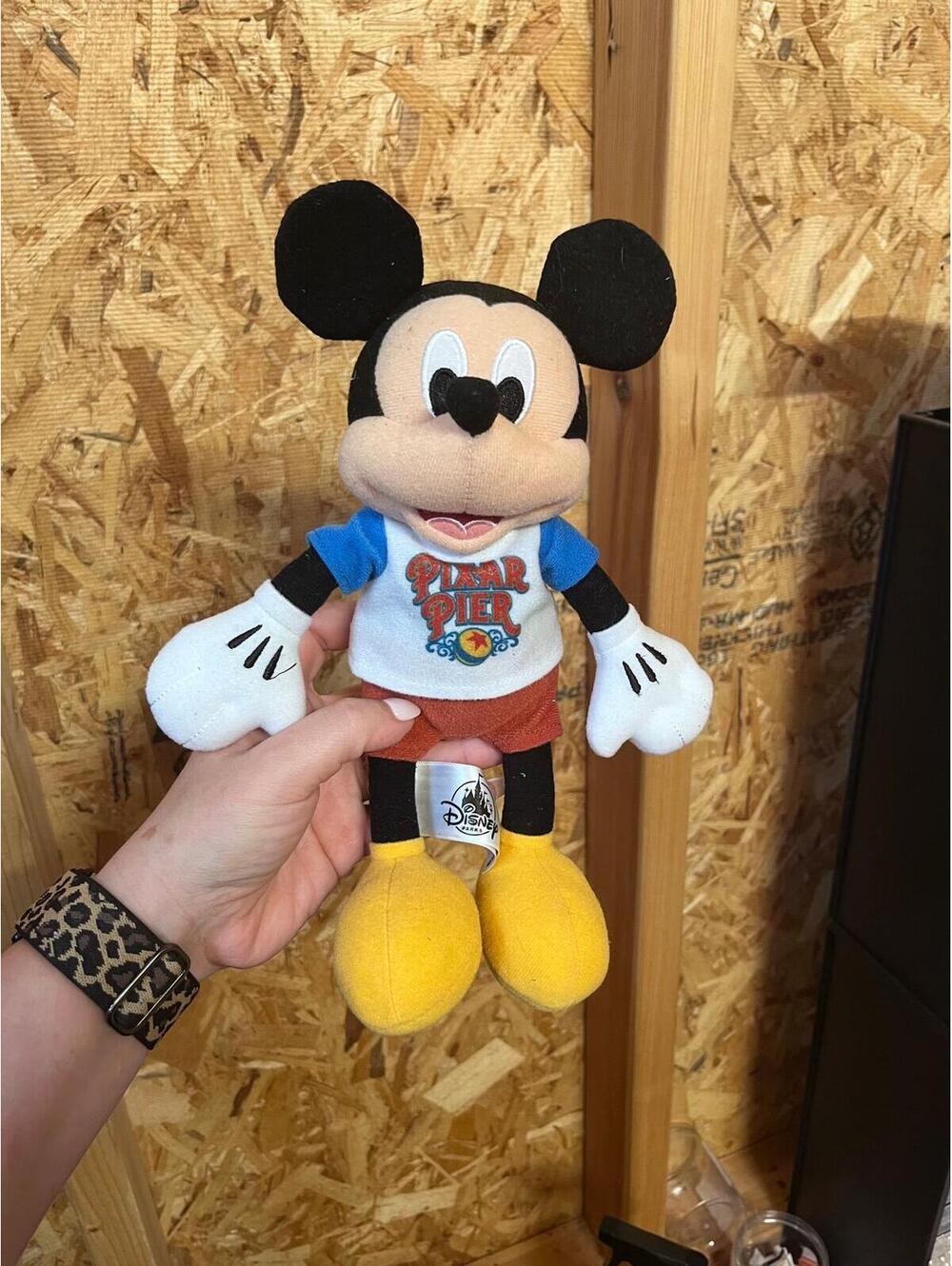 Pixar Park Mickey - 12